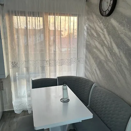 Apartment Alex