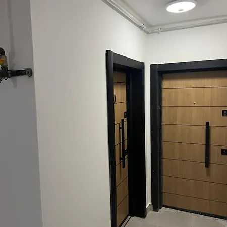 Apartament Alex *